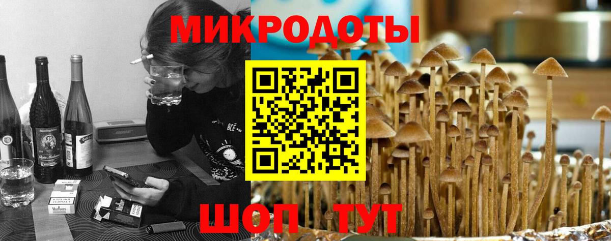 Псилоцибиновые грибы Cubensis Ишим