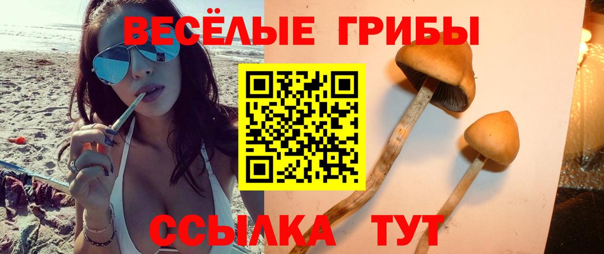 Ишим  Псилоцибиновые грибы прущие грибы  Вход с VPN  Галлюциногенные грибы MAGIC MUSHROOMS 